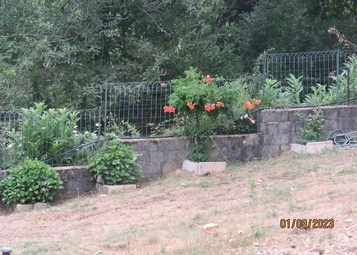 L\'Altore Di Savaghju