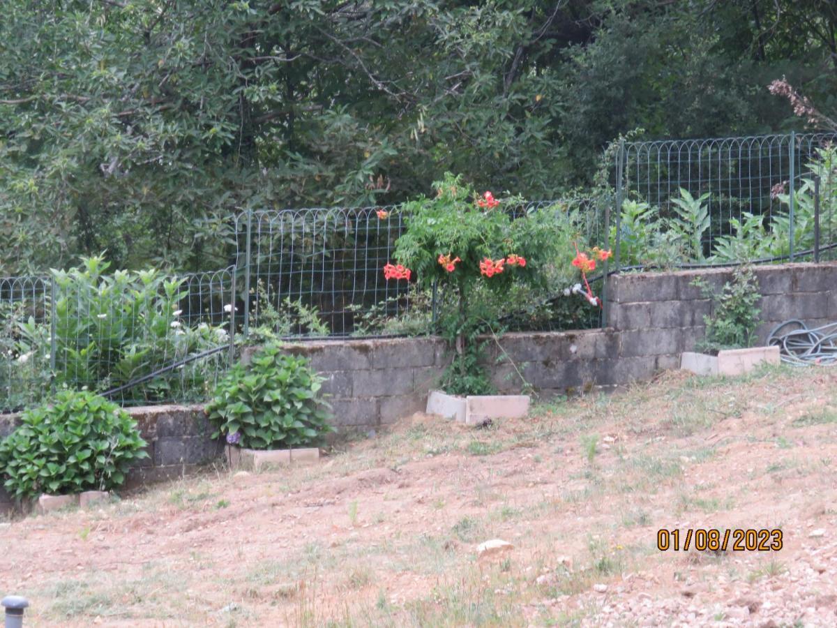 L'altore Di Savaghju *